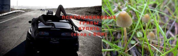 гашишное масло Баксан